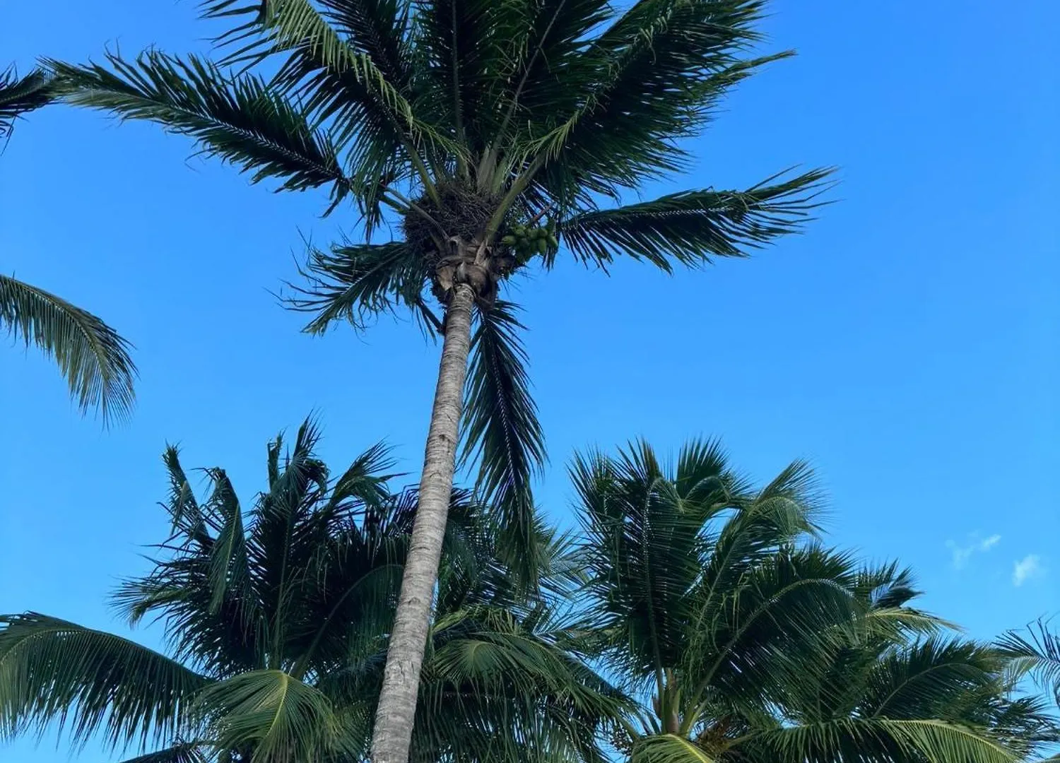 Apartamento Cadaques Bayahibe Higuey